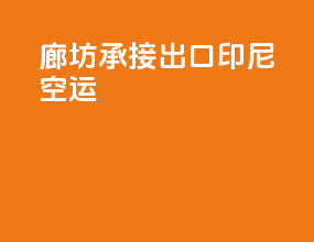 廊坊承接出口印尼空运