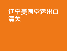辽宁美国空运出口清关