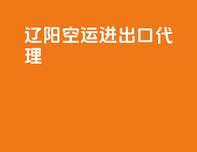 辽阳空运进出口代理
