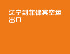 辽宁到菲律宾空运出口