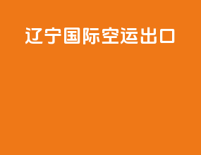 辽宁国际空运出口