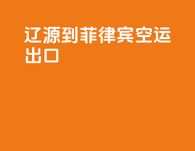 辽源到菲律宾空运出口
