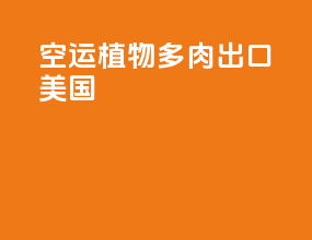 空运植物多肉出口美国