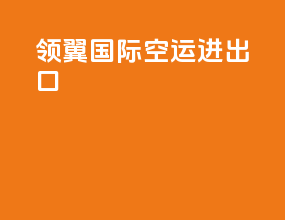 领翼国际空运进出口