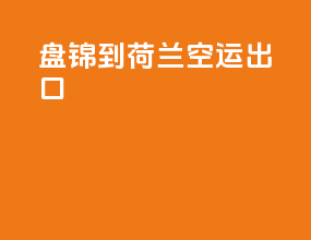 盘锦到荷兰空运出口
