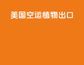 美国空运植物出口
