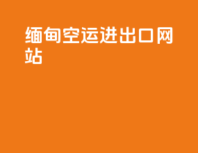 缅甸空运进出口网站