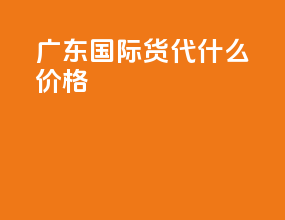 广东国际货代什么价格