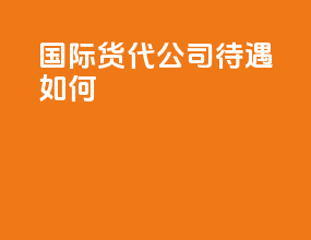 国际货代公司待遇如何
