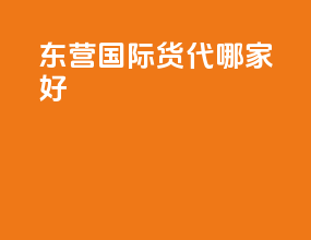 东营国际货代哪家好