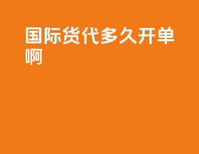 国际货代多久开单啊