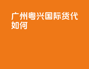 广州粤兴国际货代如何