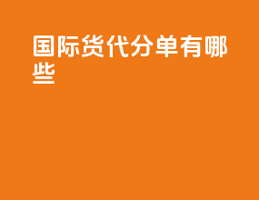 国际货代分单有哪些