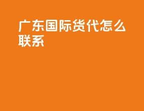 广东国际货代怎么联系