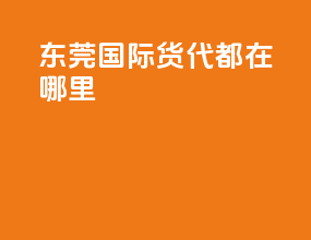 东莞国际货代都在哪里