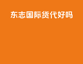 东志国际货代好吗