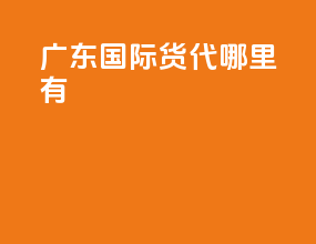 广东国际货代哪里有