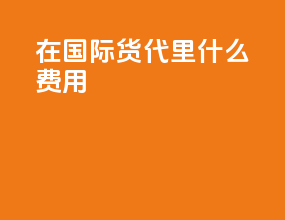 doc在国际货代里什么费用