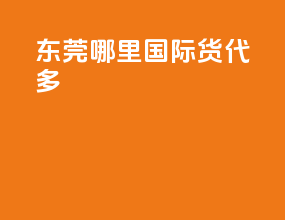东莞哪里国际货代多