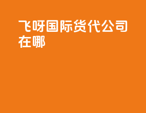 飞呀国际货代公司在哪