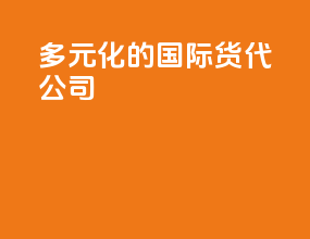 多元化的国际货代公司