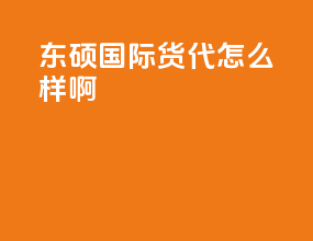 东硕国际货代怎么样啊