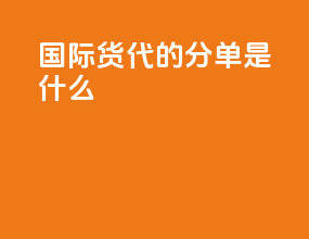 国际货代的分单是什么