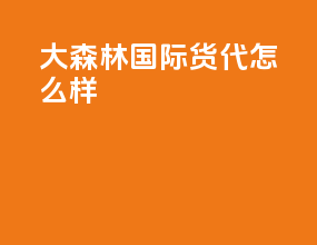 大森林国际货代怎么样