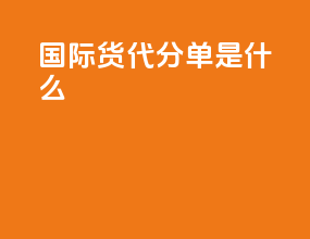 国际货代分单是什么