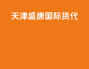 天津盛唐国际货代