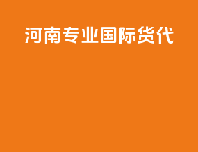 河南专业国际货代