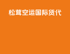 松茸空运国际货代