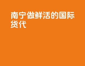 南宁做鲜活的国际货代
