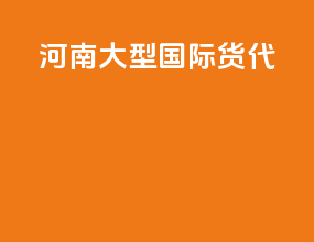 河南大型国际货代