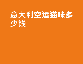 意大利空运猫咪多少钱